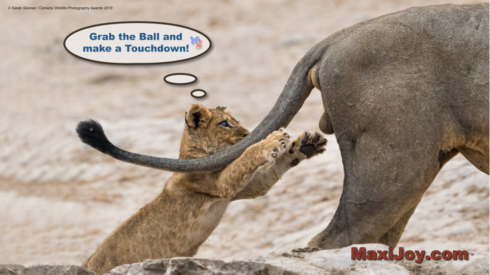 Grab the Ball!
