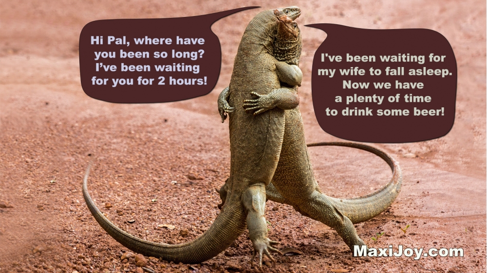 Lizards Hugging