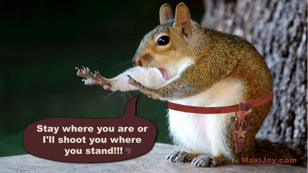 Stay where you are!