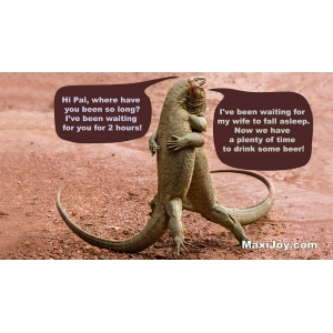 Lizards Hugging