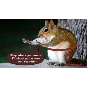 Stay where you are!