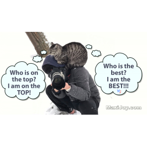 Who is on the top?