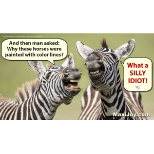 Zebras Laughing